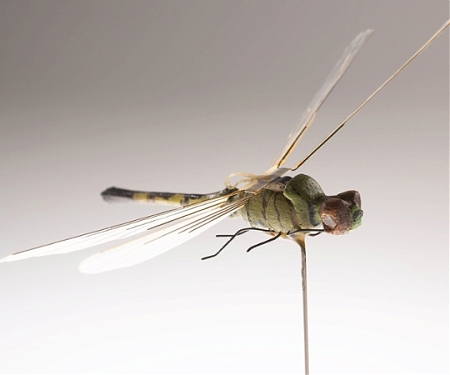 (Video) Meet the CIA’s Insectothopter