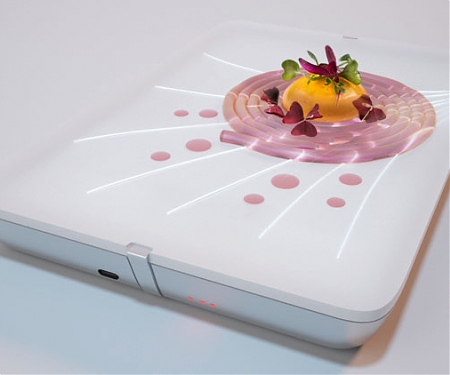 Light Dish Highlights Your Food for Unique Experience