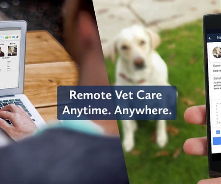 (Video) TeleVet Provides Boost To Veterinary Telemedicine With $5M Series A