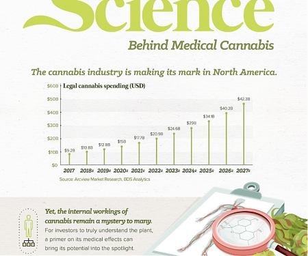 (Infographic) The Science Behind the $13 Billion Medical Cannabis Industry
