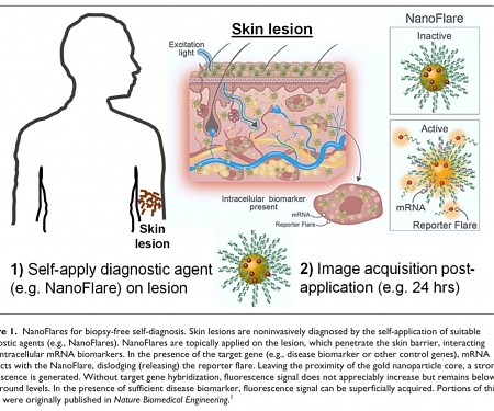 (PDF) Topical Skin Lotion to Detect Variety of Disease Biomarkers