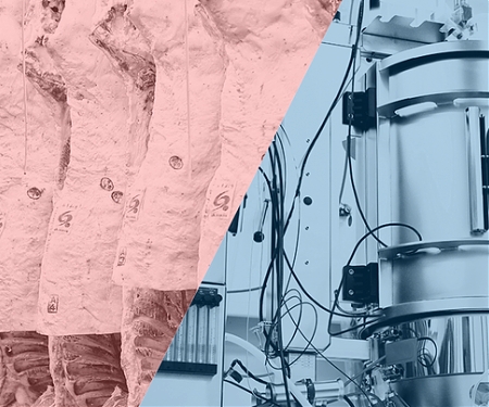 Meatable is Developing Lab-Grown Pork and has $10M in New Financing to Do It