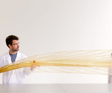MIT Develop Digitally Produced Water-Based Renewable Material