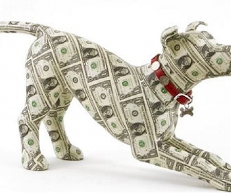 US Pet Spending : Pets That Have It All