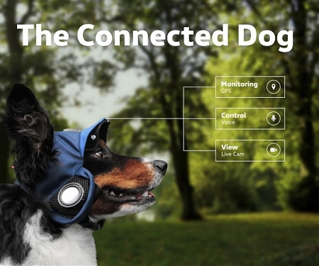 (Video) A Volkswagen Campaign Shows a Vision of the Connected Dog