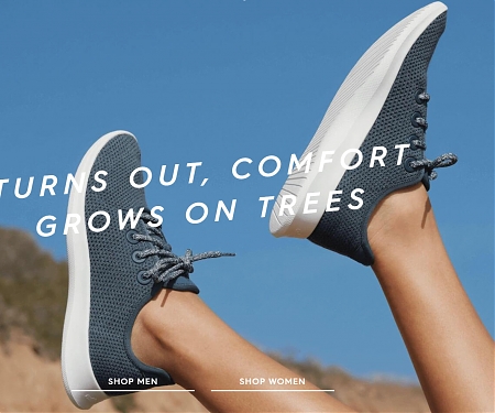 Allbirds, Maker of Silicon Valley's "It" Sneakers, Is Now Making Shoes from Trees