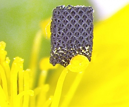 (PDF) The Novel Process to 3D Print One of The Strongest Materials on Earth