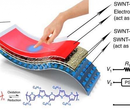 Chameleon-Inspired Stretchable e-Skin Changes Color When Touched