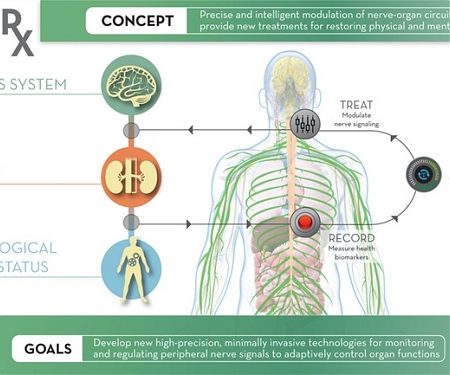 DARPA's Fascinating Self-Healing Body Initiative – ElectRx