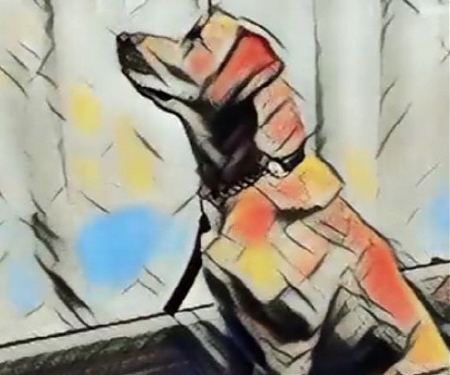 (PDF) Google - Supercharging Style Transfer