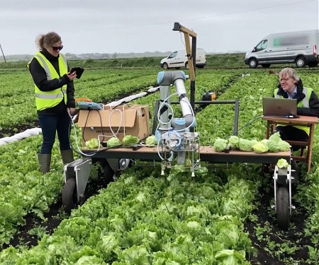 (PDF) Machine Learning Helps Robot Harvest Lettuce for the First Time