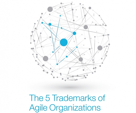 (PDF) Mckinsey - The 5 Trademarks of Agile Organizations