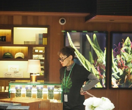 Inside a Luxury Marijuana Dispensary - Silverpeak Apothecary