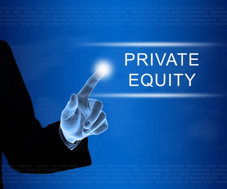 (PDF) BCG - The Diversification Opportunity Facing Private Equity