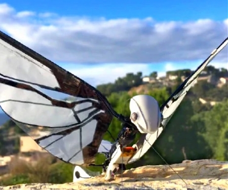 MetaFly RC Unique Flying Biomimetic Creature