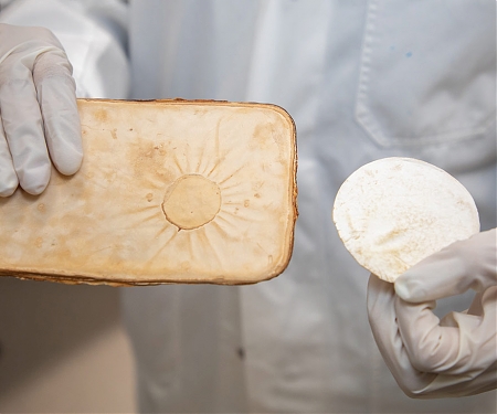 This Clever Material Made from Fungi Could Save Your Home in a Fire