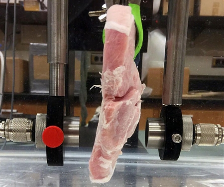 (PDF) Ultrasonic Signals Transmit Data Through Meat at HD Video Quality