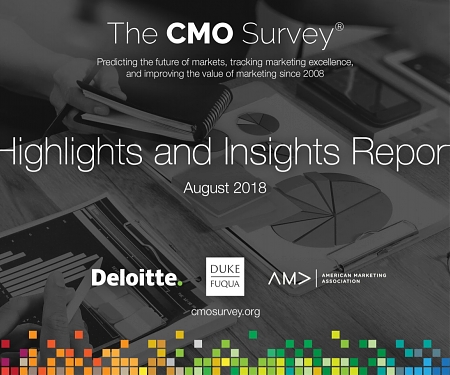 (PDF) Deloitte - The CMO Survey: Fall 2018 Report