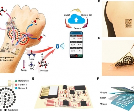 (Paper) Electronic Skin Fully Powered by Sweat Can Monitor Health