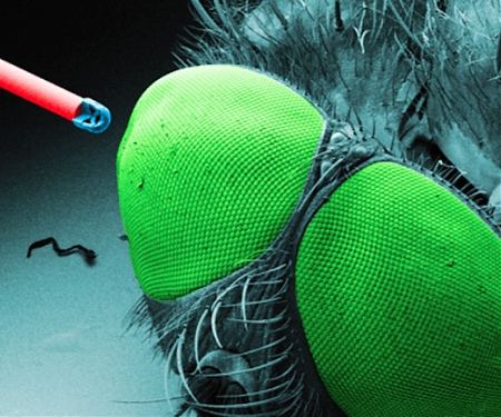 Another Breakthrough Has Been Made With 3D Printed Tiny Cameras