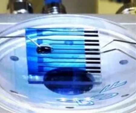 Sensor Detects Signs of Cancer, Alzheimer's and Parkinson's