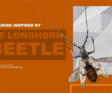 (Video) Exotic Self-Cooling Beetle Inspires Film to Cool Electronics, Buildings and More