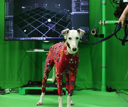(Paper) Motion Capture Tech Digitizes Dogs, with No Suit and a Single Camera