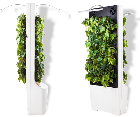 (Video) Smart Plant Wall Purifies Indoor Air - Naava