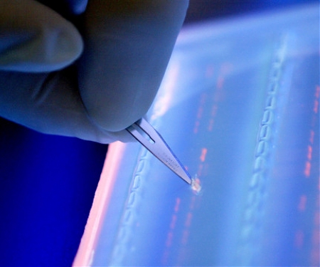 Scientists Say All the World’s Data Can Fit on a DNA Hard Drive the Size of a Teaspoon