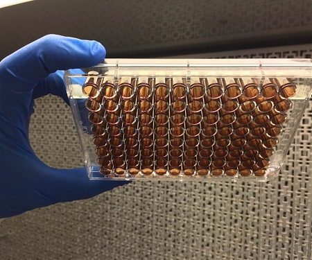 (Video) Primordial Goo Coating to Aid in Medical Procedures