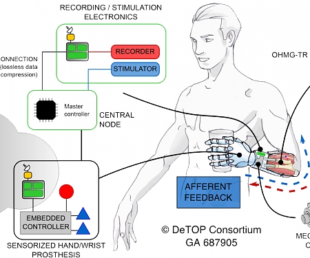 (Video) Highly Dexterous Prosthetic Arm Gives Users Sensations - DeTOP
