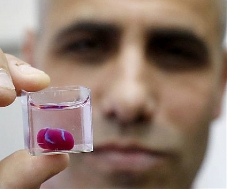 Israeli Scientists Unveil World's First 3D-Printed Heart with Human Tissue