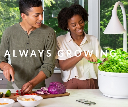 This Tiny Device Can Grow Your Salad Ingredients in 20 Days - SproutsIO