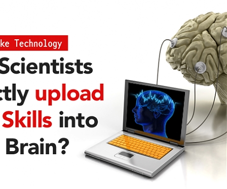 Scientists Discover How To ‘Upload Knowledge To Your Brain’