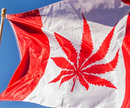 Why Wall Street is Getting Hooked on Cannabis