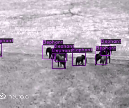(Video) AI Software Created for Drones Monitors Wild Animals and Poachers - Neurala