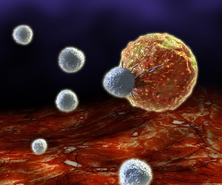 MIT - Recruiting the Entire Immune System to Attack Cancer