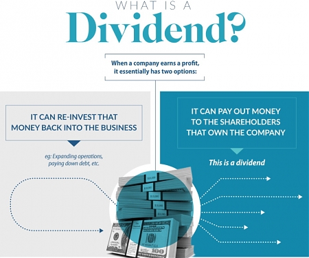 (Infographic) The Power of Dividend Investing