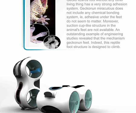 Gecko Bionic Design Window Cleaner