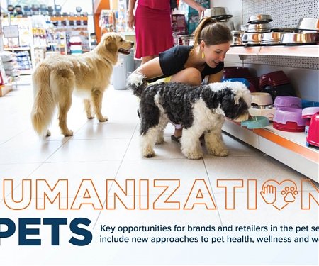(Infographic) The Humanization of Pets