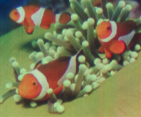 Nano-Scale 3D Printing Technology Helps Researchers Print the Smallest Color Picture Ever Printed