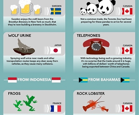 (Infographic) The Most Bizarre Exports From Around The World