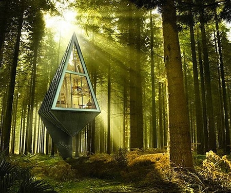 Tree-Inspired Single Pole Home - Primeval Symbiosis