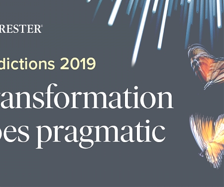 (PDF) Forrester - Predictions 2019 : Transformation Goes Pragmatic