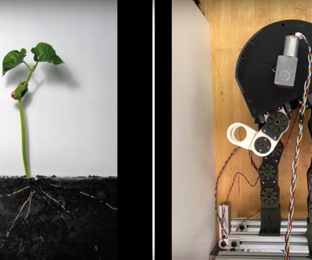 (Video) MIT's Growing Robot That Grows Like a Plant