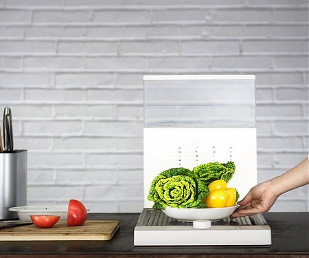 The Tang XiaoZheng - Food Sauna