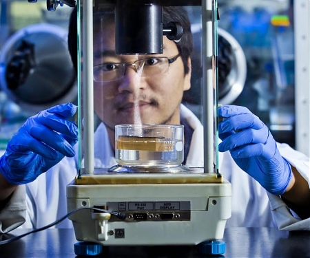 (PDF) Pine and Poplar Wood Improve Sunlight-Driven Water Purification