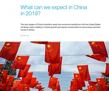 (PDF) Mckinsey - What can We Expect in China in 2019 ?