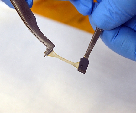 (Video) Self-Healing Bioplastic – Just Add Water