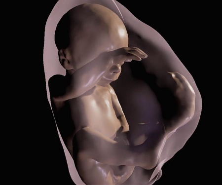 Researchers Generate 3-D Virtual Reality Models of Unborn Babies